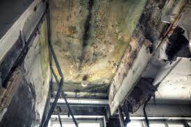 Mold Documentation for Insurance Claims in Perrysburg, OH